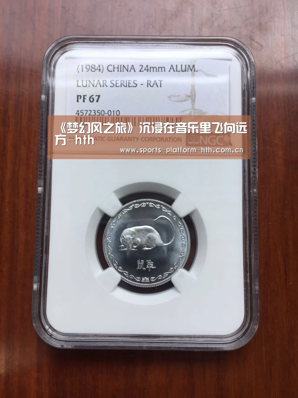《梦幻风之旅》沉浸在音乐里飞向远方-hth(图2)