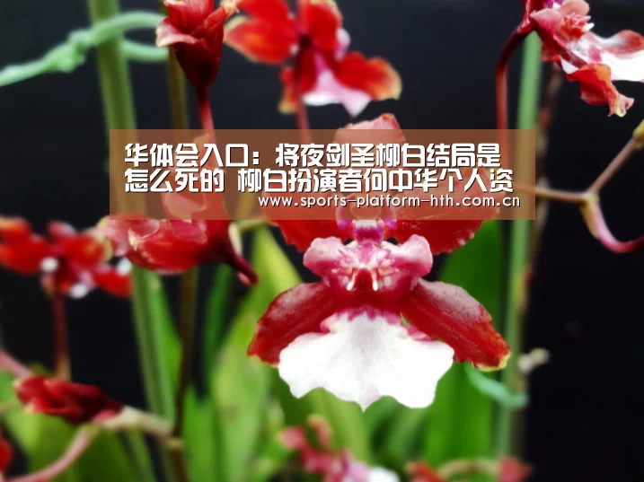 华体会入口：将夜剑圣柳白结局是怎么死的 柳白扮演者何中华个人资料(图3)